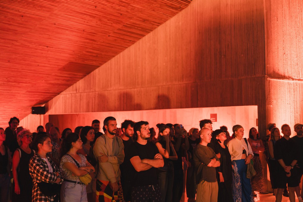 sota+la+llum+tem+tem20+teatre+el+musical+ricardo+ruiz+sergi+palau+fran+campos+fotografia+vj+dj+experimental+foto+raul+sanchez (1)